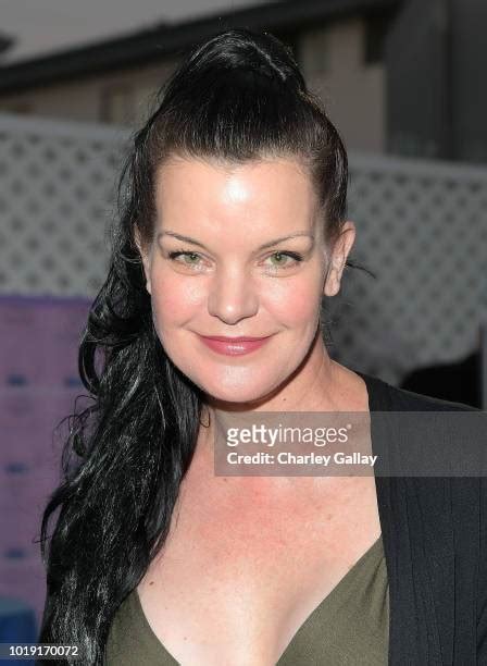 6,242 Pauley Perrette Images Stock Photos & High